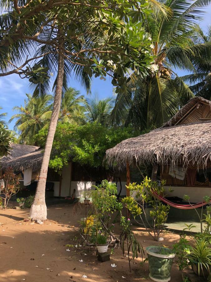 Sun Wind Beach Kalpitiya Kite Resort Eksteriør billede